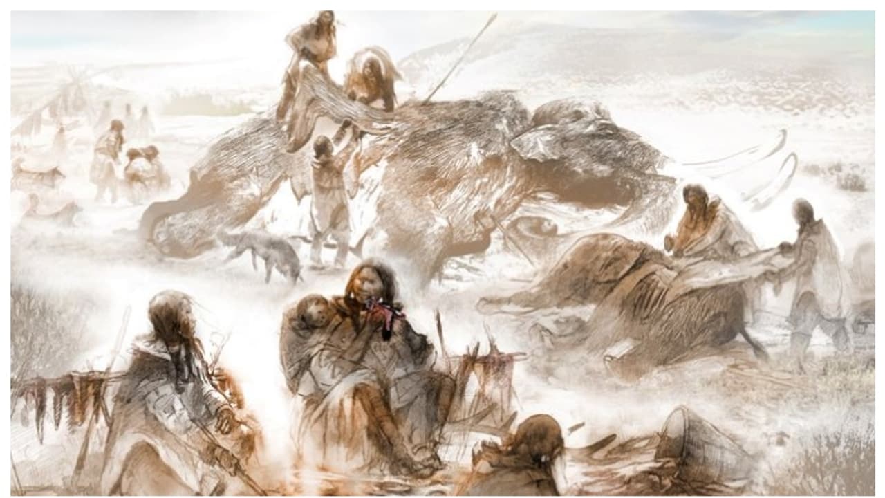 ആദിമ മനുഷ്യരുടെ ഭക്ഷണ മെനുവിലെ പ്രധാന ഇനം 11 ടൺ ഭാരമുള്ള 'മാമോത്തു'കളെന്ന് പഠനം ആദിമ മനുഷ്യരുടെ ഭക്ഷണ മെനുവിലെ പ്രധാന ഇനം 11 ടൺ ഭാരമുള്ള 'മാമോത്തു'കളെന്ന് പഠനം