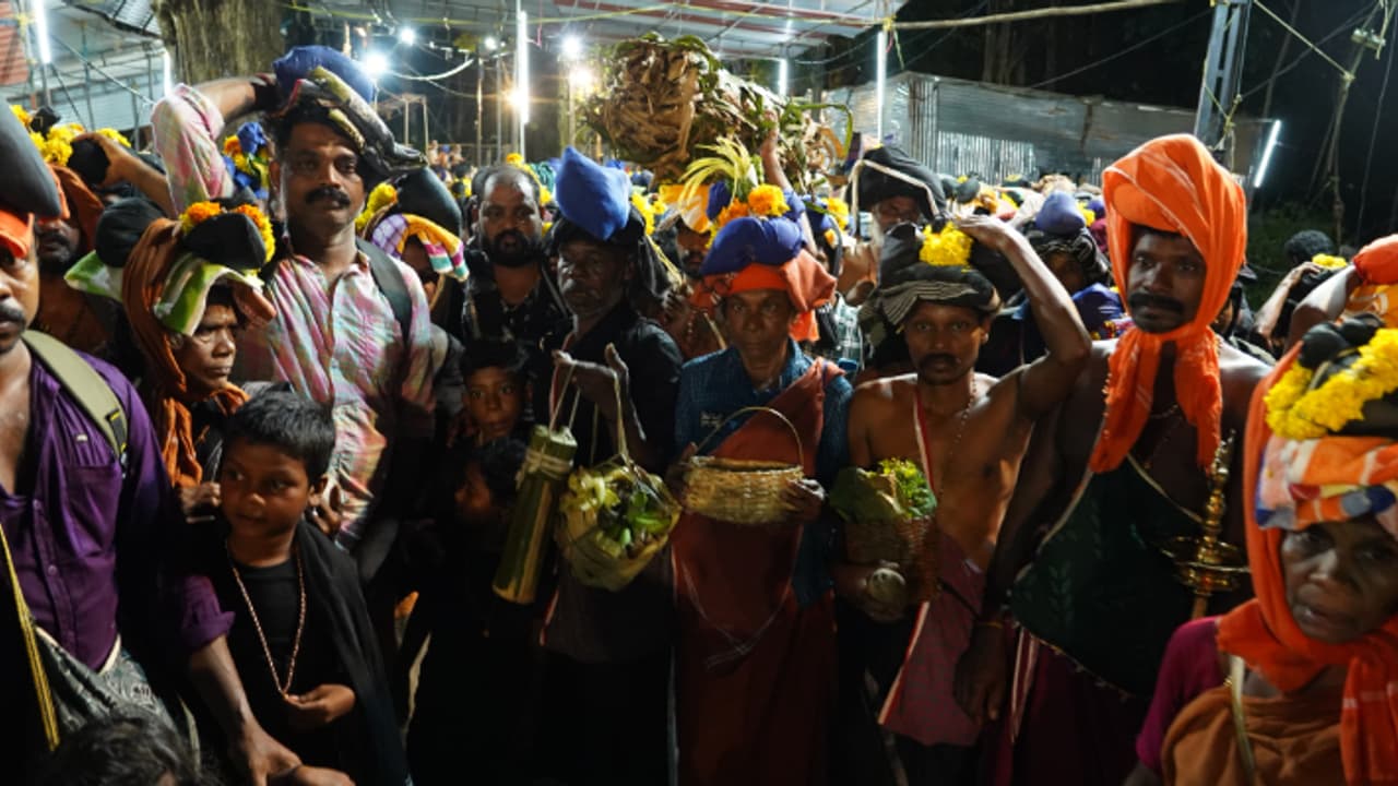 മുളംകുറ്റിയിൽ കാട്ടുതേൻ, കദളി, കുന്തിരിക്കം, കരിമ്പ്; അഗസ്ത്യാർകൂടത്തിലെ തിരുമുൽ കാഴ്ചയുമായി 145 പേർ ശബരിമലയിൽ മുളംകുറ്റിയിൽ കാട്ടുതേൻ, കദളി, കുന്തിരിക്കം, കരിമ്പ്; അഗസ്ത്യാർകൂടത്തിലെ തിരുമുൽ കാഴ്ചയുമായി 145 പേർ ശബരിമലയിൽ