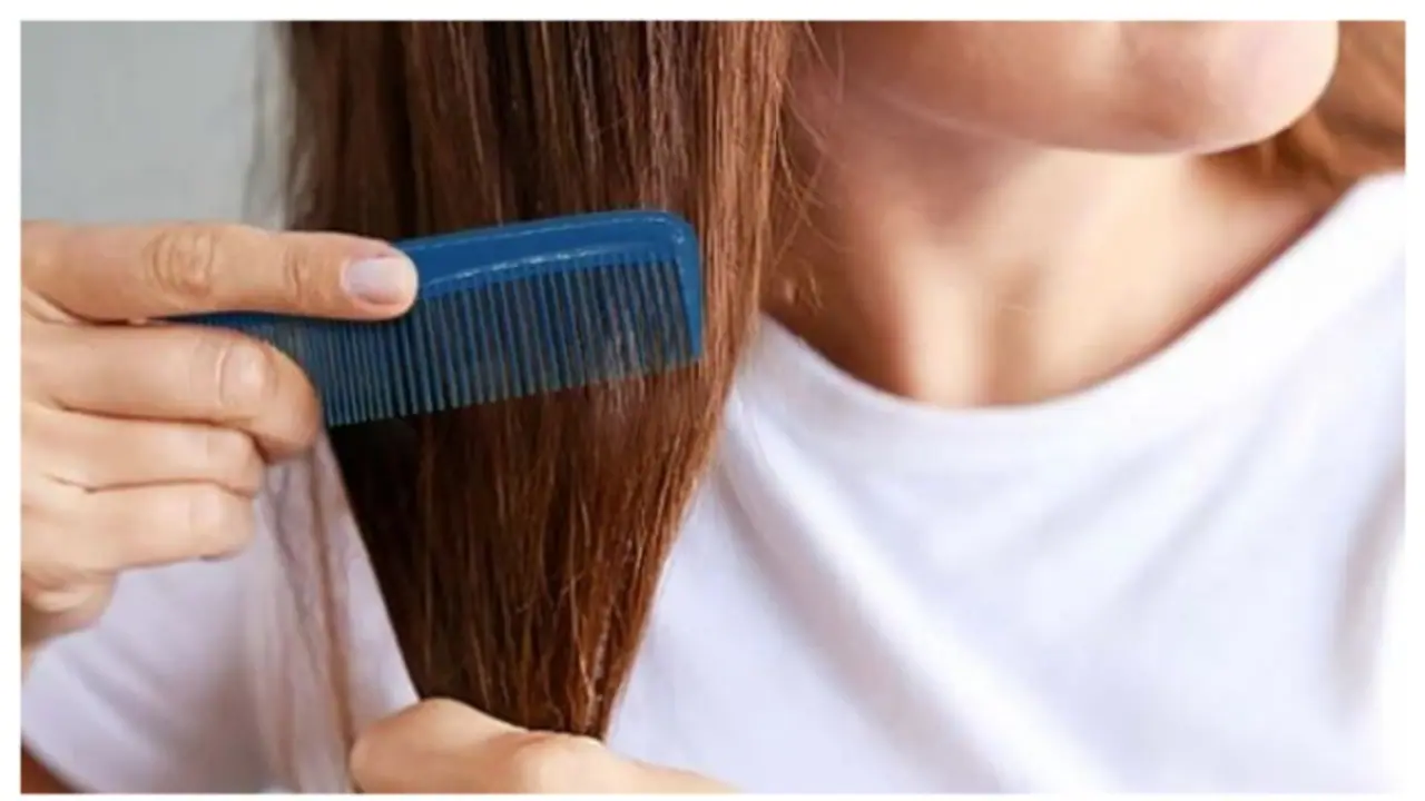 ഒരു ചീപ്പ് തന്നെ കുറെ നാൾ ഉപയോ​ഗിക്കരുത്, കാരണം 