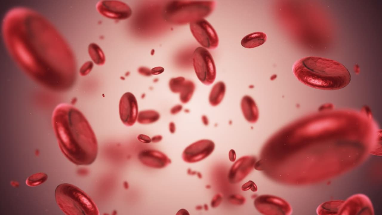 ശരീരത്തിൽ അയേണിന്റെ കുറവുണ്ടോ? ഈ ഒരൊറ്റ പച്ചക്കറി കഴിക്കൂ, പരിഹരിക്കാം ശരീരത്തിൽ അയേണിന്റെ കുറവുണ്ടോ? ഈ ഒരൊറ്റ പച്ചക്കറി കഴിക്കൂ, പരിഹരിക്കാം