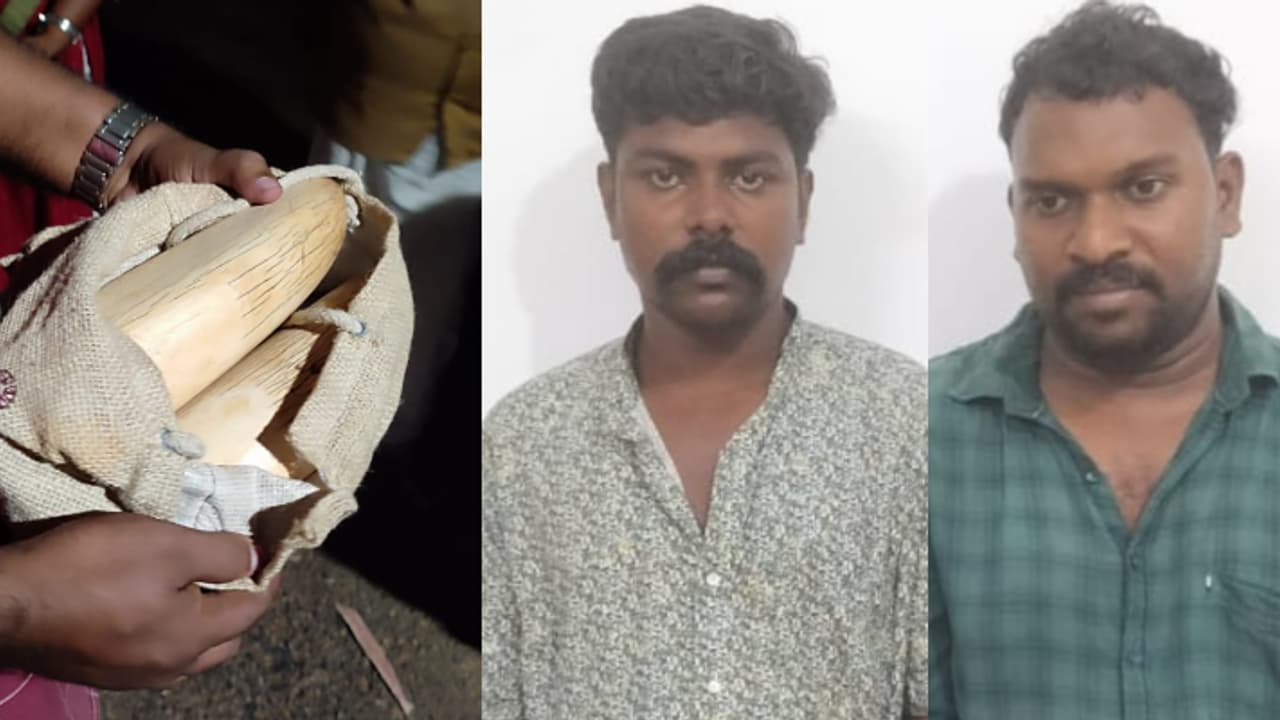 വെള്ളനാട് ക്ഷേത്രത്തിനടുത്ത് 2 പേർ, ചാക്കിൽ പൊതിഞ്ഞ ആനക്കൊമ്പ്! എല്ലാം രഹസ്യമാക്കിയിട്ടും പൊക്കി വനംവകുപ്പ് വെള്ളനാട് ക്ഷേത്രത്തിനടുത്ത് 2 പേർ, ചാക്കിൽ പൊതിഞ്ഞ ആനക്കൊമ്പ്! എല്ലാം രഹസ്യമാക്കിയിട്ടും പൊക്കി വനംവകുപ്പ്