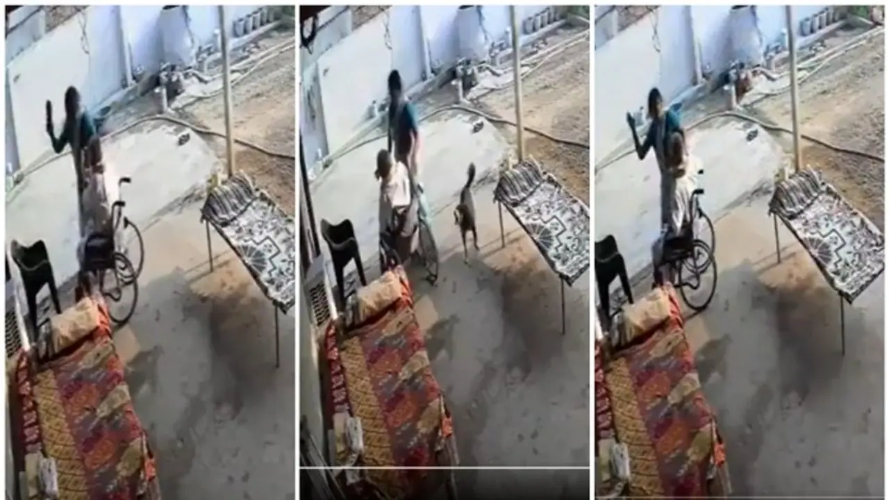 SHOCKING! Telangana woman slaps, thrashes wheelchair bound father in law with shoe (WATCH) SHOCKING! Telangana woman slaps, thrashes wheelchair bound father in law with shoe (WATCH)