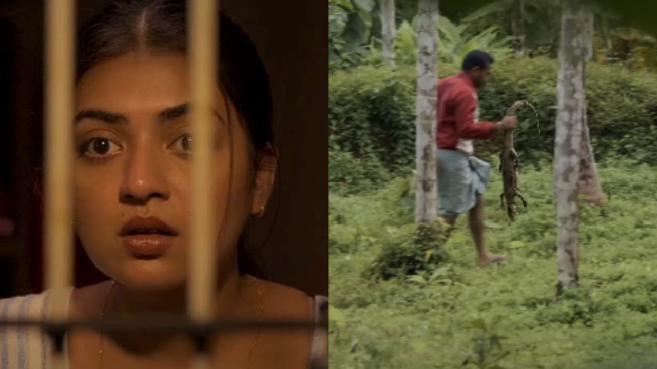 ആ ഉടുമ്പ് ഒറിജിനല് അല്ല, ഗ്രാഫിക്സും അല്ല! 'സൂക്ഷ്മദര്ശിനി'യിൽ മാനുവൽ പിടിച്ച ഉടുമ്പിന് പിന്നിലെ കഥ ആ ഉടുമ്പ് ഒറിജിനല് അല്ല, ഗ്രാഫിക്സും അല്ല! 'സൂക്ഷ്മദര്ശിനി'യിൽ മാനുവൽ പിടിച്ച ഉടുമ്പിന് പിന്നിലെ കഥ