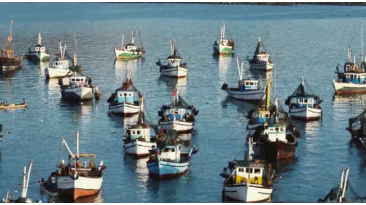 മത്സ്യബന്ധനം, തീരസംരക്ഷണ പ്രവര്‍ത്തനങ്ങള്‍ ; മേല്‍നോട്ടം വഹിക്കാന്‍ ചീഫ് സെക്രട്ടറിയുടെ നേതൃത്വത്തില്‍ സമിതി