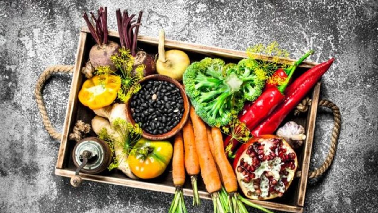 dishes and food product ban in 2024 year ender dishes and food product ban in 2024 year ender