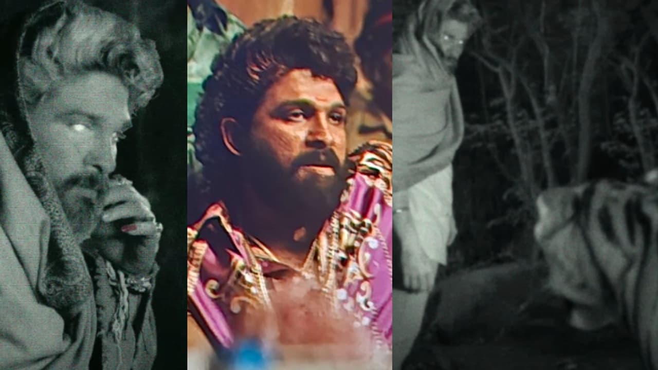 'സുകുമാര്‍, ആദ്യ പ്രൊമോയിലെ കടുവ സീന്‍ എവിടെ'? 'പുഷ്‍പ 2' കണ്ട ആരാധകര്‍ ചോദിക്കുന്നു