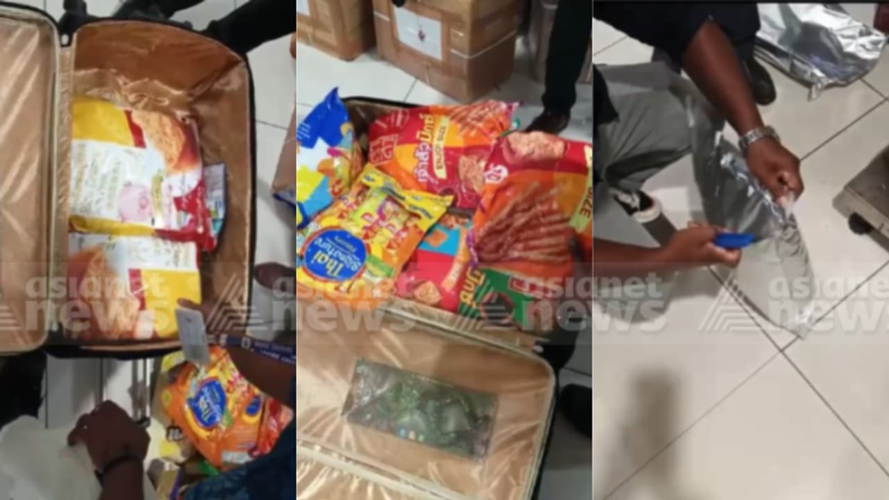 വിമാനത്തിൽ കൊച്ചിയിലെത്തിയ യുവാവിൻ്റെ ട്രോളി ബാഗിൽ നിറയെ ഭക്ഷണപൊതികൾ; തുറന്നപ്പോൾ കിട്ടിയത് ഹൈബ്രിഡ് കഞ്ചാവ്