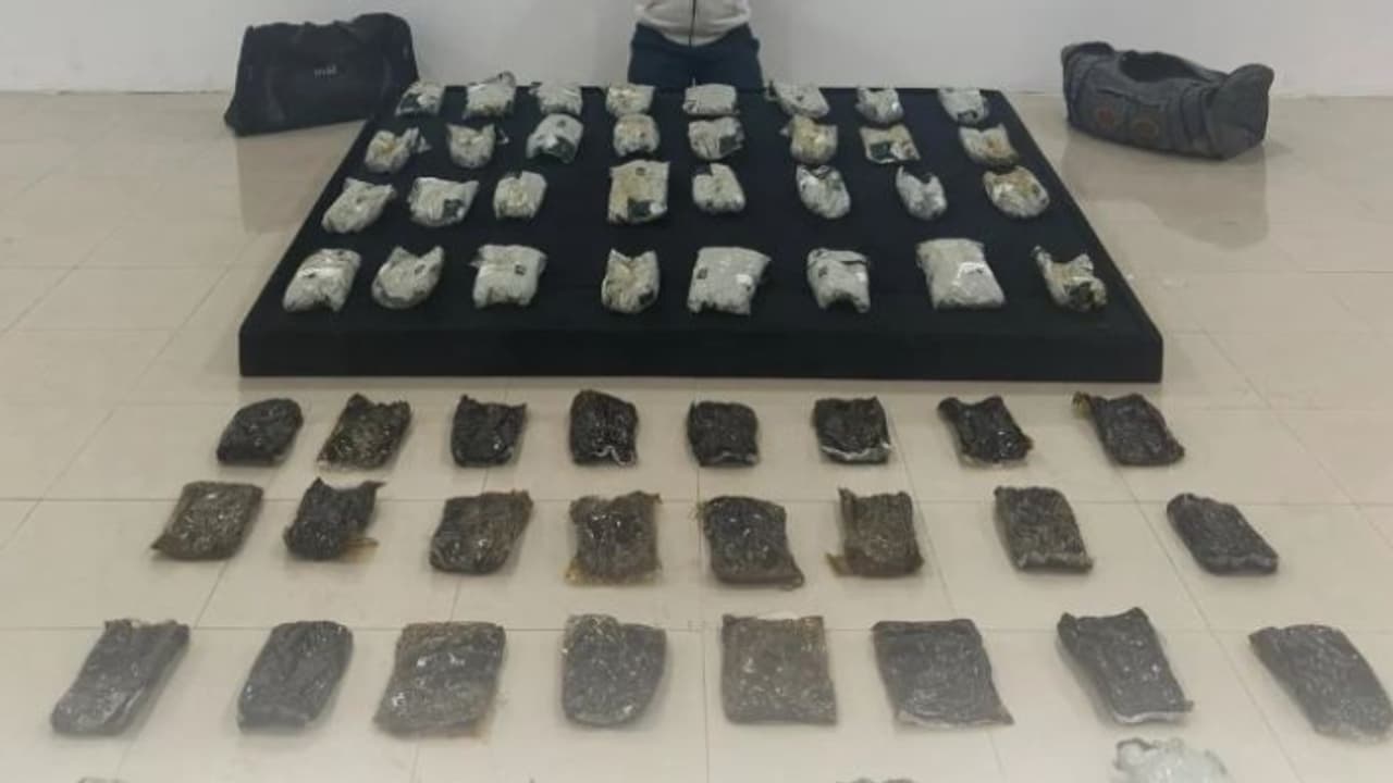 കുവൈത്തിൽ വൻ ലഹരിമരുന്ന് വേട്ട; പിടിച്ചെടുത്തത് 60 കിലോഗ്രാം ഹാഷിഷ്, വിദേശി അറസ്റ്റിൽ കുവൈത്തിൽ വൻ ലഹരിമരുന്ന് വേട്ട; പിടിച്ചെടുത്തത് 60 കിലോഗ്രാം ഹാഷിഷ്, വിദേശി അറസ്റ്റിൽ