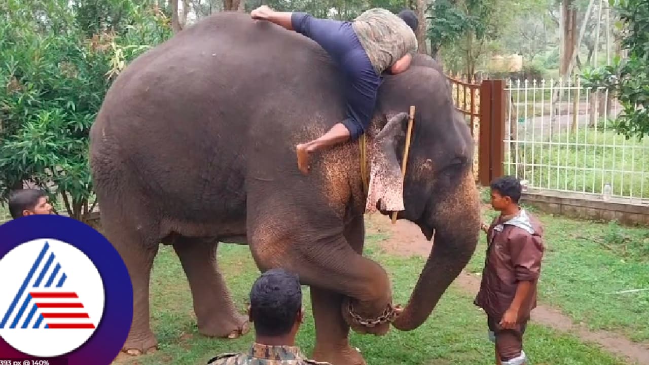 ಕೊಡಗು: ಆಂಧ್ರದ ಮಾವುತರಿಗೆ ತರಬೇತಿ ನೀಡಿದ ದುಬಾರೆ ಸಾಕಾನೆಗಳು!