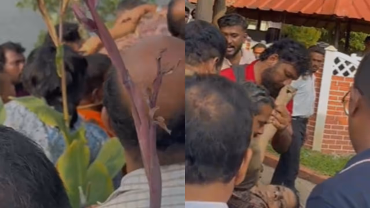 നാട്ടുകാര് രക്ഷിക്കാൻ ശ്രമിച്ചിട്ടും ആലുവയിൽ മാര്ത്താണ്ഡവര്മ പാലത്തിൽ നിന്ന് പുഴയിൽ ചാടിയ യുവതി മരിച്ചു നാട്ടുകാര് രക്ഷിക്കാൻ ശ്രമിച്ചിട്ടും ആലുവയിൽ മാര്ത്താണ്ഡവര്മ പാലത്തിൽ നിന്ന് പുഴയിൽ ചാടിയ യുവതി മരിച്ചു