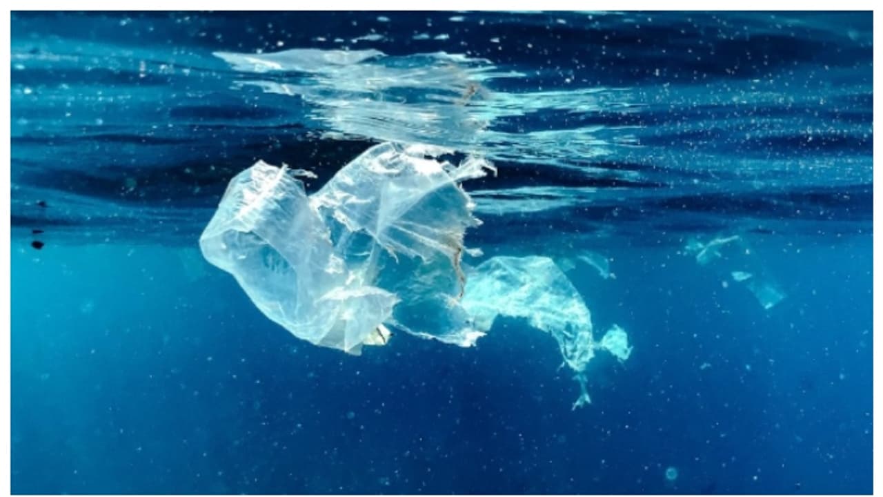 കടലില്‍ അലിഞ്ഞ് ചേരും, മണ്ണിന് വളമാകും; പരിസ്ഥിതി സൗഹൃദ പ്ലാസ്റ്റിക്കുമായി ജാപ്പനീസ് ഗവേഷകര്‍ 