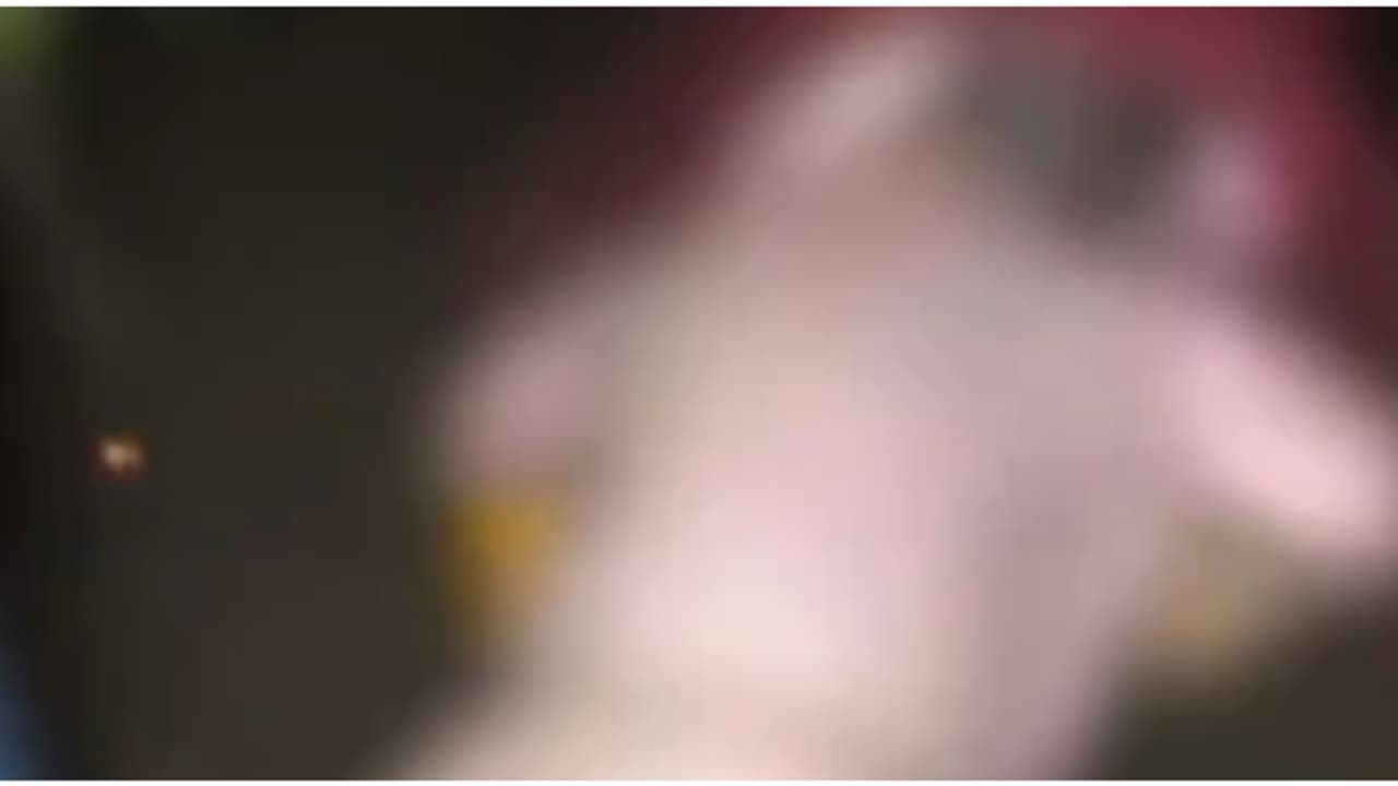 പൊക്കിള്ക്കൊടി മുറിച്ചുമാറ്റാത്ത നവജാത ശിശുവിന്റെ മൃതദേഹം പുഴയില്; കണ്ടത്തിയത് മത്സ്യതൊഴിലാളികള് പൊക്കിള്ക്കൊടി മുറിച്ചുമാറ്റാത്ത നവജാത ശിശുവിന്റെ മൃതദേഹം പുഴയില്; കണ്ടത്തിയത് മത്സ്യതൊഴിലാളികള്