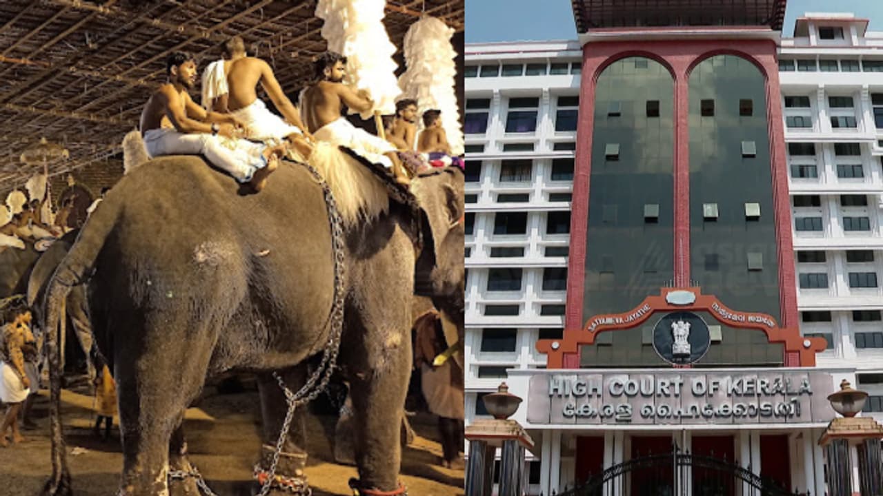 പൂർണത്രയീശ ക്ഷേത്രത്തിലെ ആന എഴുന്നള്ളിപ്പ്: കോടതിയലക്ഷ്യ നടപടി ആരംഭിച്ച് കേരള ഹൈക്കോടതി