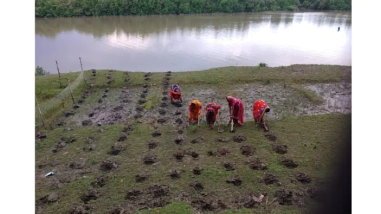 World Soil Day: Combating Degradation with Nature Based Solutions