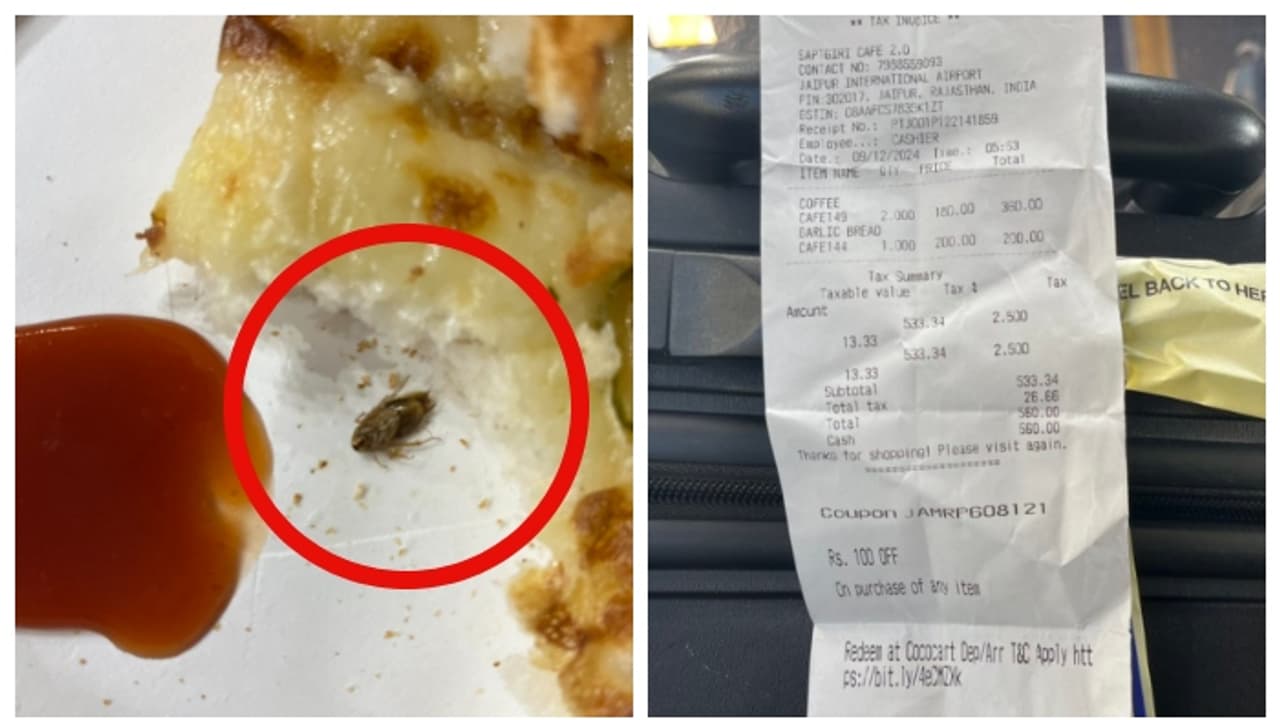 എയർപോർട്ടിൽ നിന്നും വാങ്ങിയ 200 രൂപയുടെ ബ്രെഡ് പക്കോഡയില്‍ ചത്ത പാറ്റ; ദുരന്തമെന്ന് സോഷ്യല്‍ മീഡിയ 