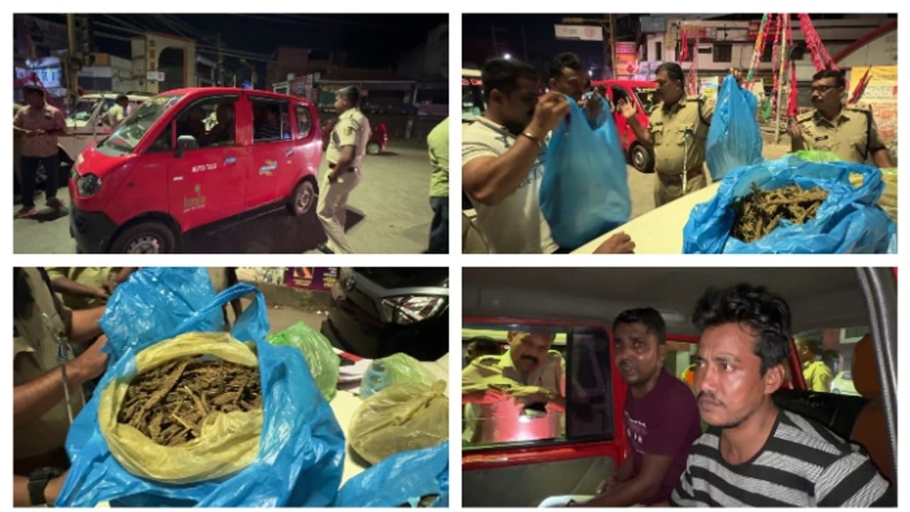 കാലടി ടൗണിൽ ഓട്ടോറിക്ഷയിൽ പരിശോധന നടത്തി പ്രത്യേക സം​ഘവും പൊലീസും; ഒൻപതര കിലോ കഞ്ചാവുമായി 3 പേർ പിടിയിൽ 
