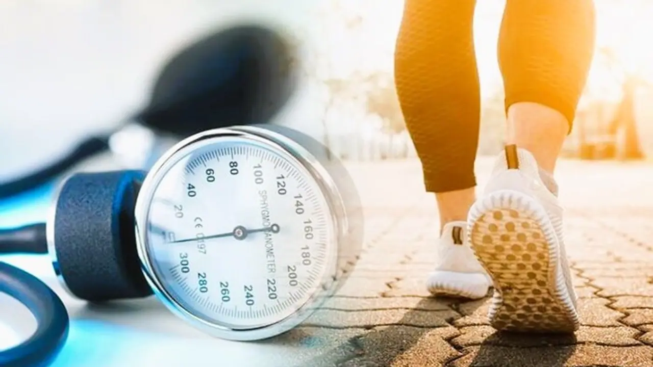 ವಾಕಿಂಗ್ಗೆ ಯಾವ ಟೈಮ್ ಬೆಸ್ಟ್...ಬೆಳಗ್ಗೆನಾ ಸಂಜೆನಾ? ವಾಕಿಂಗ್ಗೆ ಯಾವ ಟೈಮ್ ಬೆಸ್ಟ್...ಬೆಳಗ್ಗೆನಾ ಸಂಜೆನಾ?