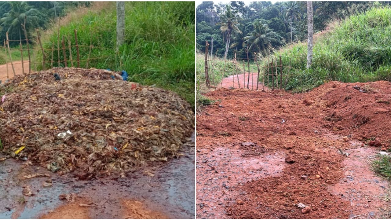 പരിസരമാകെ ദുർഗന്ധം, ഇരുട്ടിന്‍റെ മറവിൽ തള്ളിയത് കോഴിമാലിന്യം; പൊലീസെത്തി ജെസിബി ഉപയോഗിച്ച് കുഴിച്ചുമൂടി
