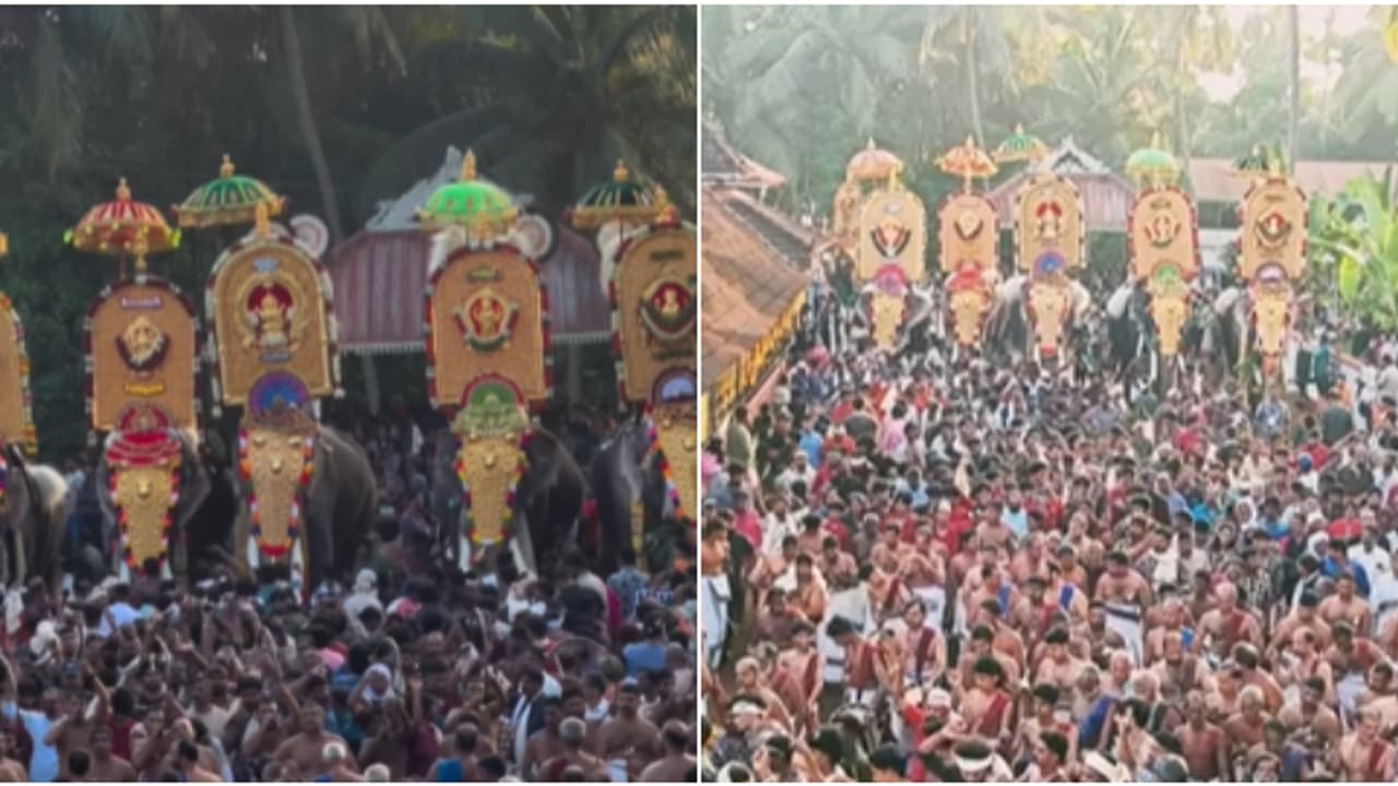 ഹൈക്കോടതി മാനദണ്ഡങ്ങൾ പാലിക്കാതെ ആന എഴുന്നള്ളിപ്പ്; കിഴൂർ പൂരം നടത്തിപ്പിൽ കേസെടുത്ത് വനം വകുപ്പ്