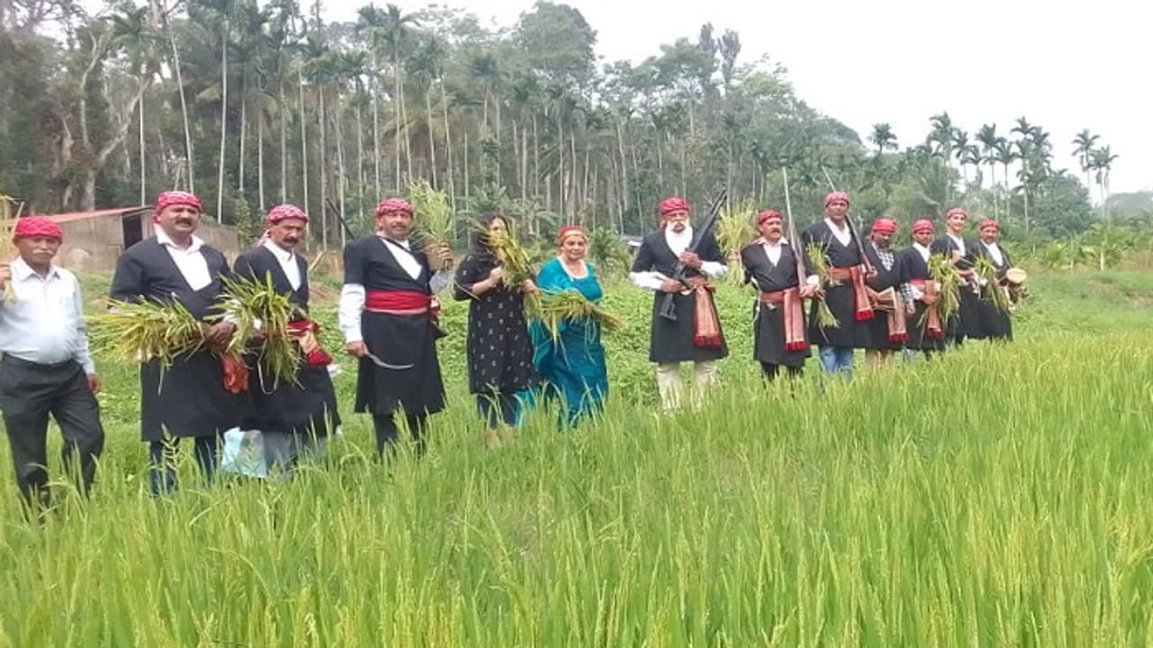 ಕೊಡಗಿನಲ್ಲಿ ಪುತ್ತರಿ ಹಬ್ಬದ ಸಂಭ್ರಮ: ಕದಿರು ಕೊಯ್ದು ಧಾನ್ಯ ಲಕ್ಷ್ಮಿಯ ಮನೆ ತುಂಬಿಕೊಂಡ ರೈತರು! ಕೊಡಗಿನಲ್ಲಿ ಪುತ್ತರಿ ಹಬ್ಬದ ಸಂಭ್ರಮ: ಕದಿರು ಕೊಯ್ದು ಧಾನ್ಯ ಲಕ್ಷ್ಮಿಯ ಮನೆ ತುಂಬಿಕೊಂಡ ರೈತರು!