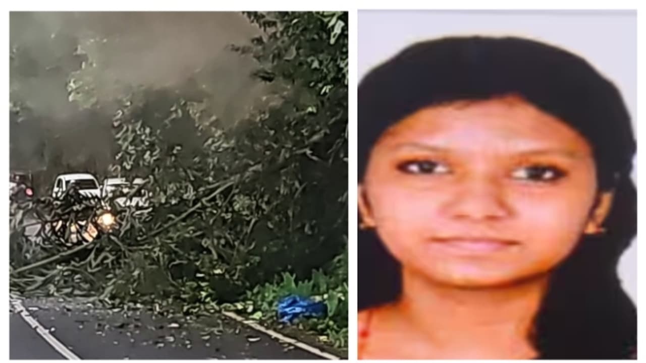 കാട്ടാന പിഴുതെറിഞ്ഞ പനമരം ബൈക്കിൽ പതിച്ച് അപകടം; മരിച്ച വിദ്യാര്ത്ഥിനി ആൻമേരിയുടെ പോസ്റ്റ്മോർട്ടം ഇന്ന് കാട്ടാന പിഴുതെറിഞ്ഞ പനമരം ബൈക്കിൽ പതിച്ച് അപകടം; മരിച്ച വിദ്യാര്ത്ഥിനി ആൻമേരിയുടെ പോസ്റ്റ്മോർട്ടം ഇന്ന്