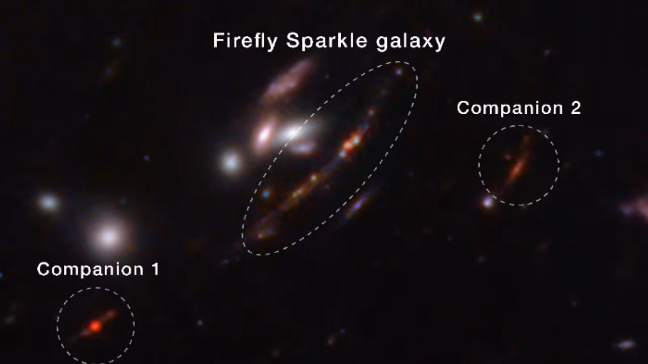 വീണ്ടും ജെയിംസ് വെബ് ദൂരദർശിനി മാജിക്; ക്ഷീരപഥത്തിന് സമാനമായ ഗ്യാലക്സി കണ്ടെത്തി, കൂടെ അയല്‍ക്കാരും