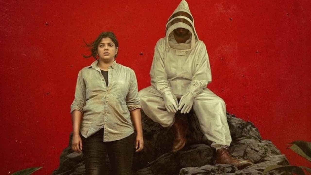 പ്രതികാരത്തിന്‍റെ ചോരപ്പാടുകളുമായി 'രുധിരം'; രാജ് ബി ഷെട്ടി അപർണ ചിത്രം ചലച്ചിത്ര മേളയിൽ 