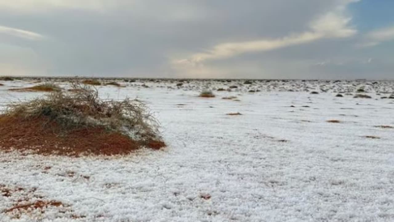 മൈനസ് 3 ഡിഗ്രി വരെ താഴും, തണുത്ത് വിറയ്ക്കും; സൗദി ഇന്ന് മുതൽ അതിശൈത്യത്തിലേക്ക് നീങ്ങുന്നു
