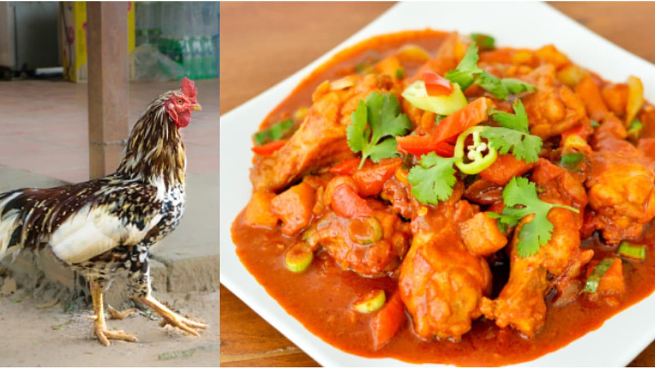 ലോൺ പാസാക്കാൻ എസ്ബിഐ മാനേജർ അകത്താക്കിയത് 39500 രൂപയുടെ നാടൻ കോഴിക്കറി എന്നിട്ടും വഞ്ചിച്ചു, പരാതിയുമായി കർഷകൻ ലോൺ പാസാക്കാൻ എസ്ബിഐ മാനേജർ അകത്താക്കിയത് 39500 രൂപയുടെ നാടൻ കോഴിക്കറി എന്നിട്ടും വഞ്ചിച്ചു, പരാതിയുമായി കർഷകൻ