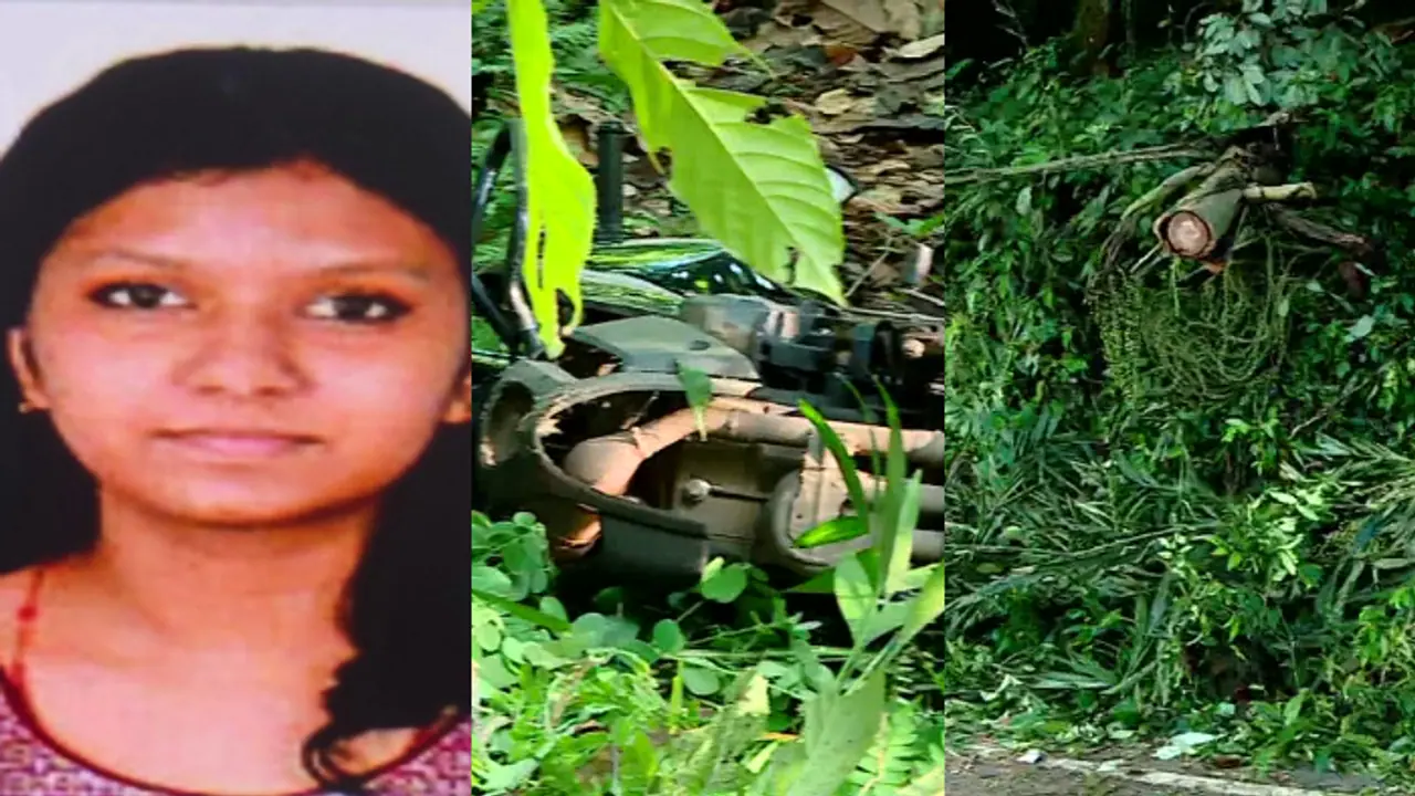 Kerala: 21 year old woman dies after palm tree uprooted by wild elephant falls on her in Ernakulam