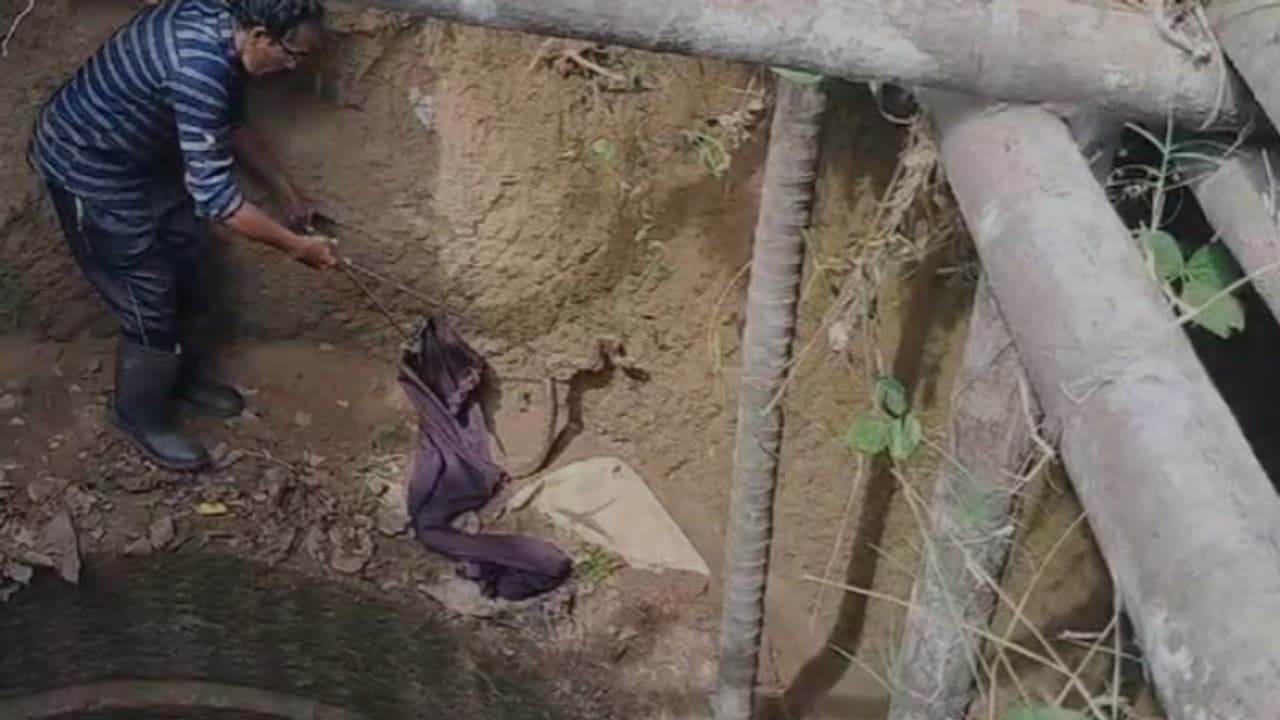 അതിഥി തൊഴിലാളികൾ കിണറ്റിൽ എത്തിനോക്കിയപ്പോൾ കണ്ടുഞെട്ടി, അതും ഒന്നല്ല, രണ്ടെണ്ണം! അണലികളെ പിടികൂടി, വിട്ടയച്ചു അതിഥി തൊഴിലാളികൾ കിണറ്റിൽ എത്തിനോക്കിയപ്പോൾ കണ്ടുഞെട്ടി, അതും ഒന്നല്ല, രണ്ടെണ്ണം! അണലികളെ പിടികൂടി, വിട്ടയച്ചു