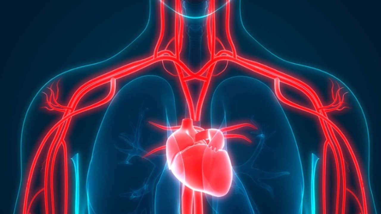 ഹൃദയാരോഗ്യം സംരക്ഷിക്കാന്‍ ചെയ്യേണ്ട ആറ് കാര്യങ്ങള്‍