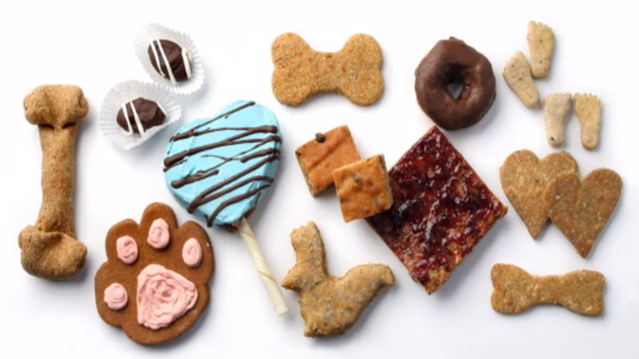 Have a sweet tooth but worried for health? Here's exact number of weekly sweet treats that's 'safe' for heart