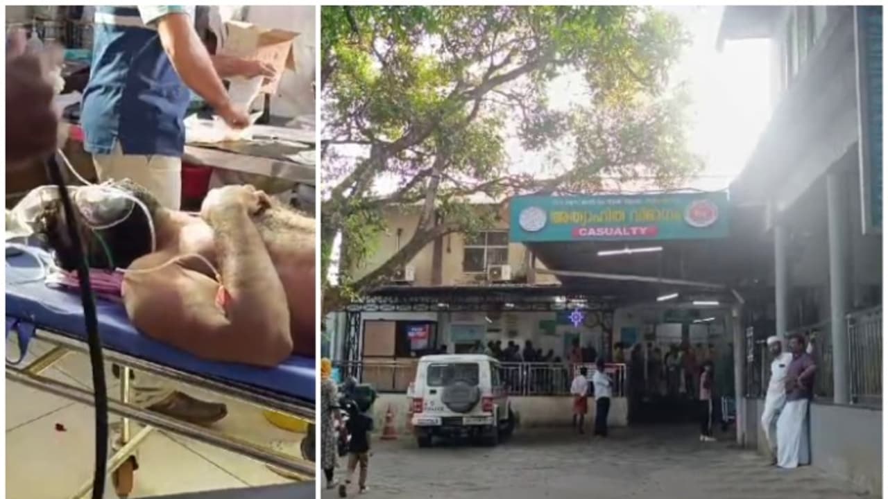 വയനാട്ടിൽ വീണ്ടും കാട്ടാന ആക്രമണം; റിസോർട്ടിലെ നിർമാണ തൊഴിലാളിക്ക് ഗുരുതര പരിക്ക് വയനാട്ടിൽ വീണ്ടും കാട്ടാന ആക്രമണം; റിസോർട്ടിലെ നിർമാണ തൊഴിലാളിക്ക് ഗുരുതര പരിക്ക്