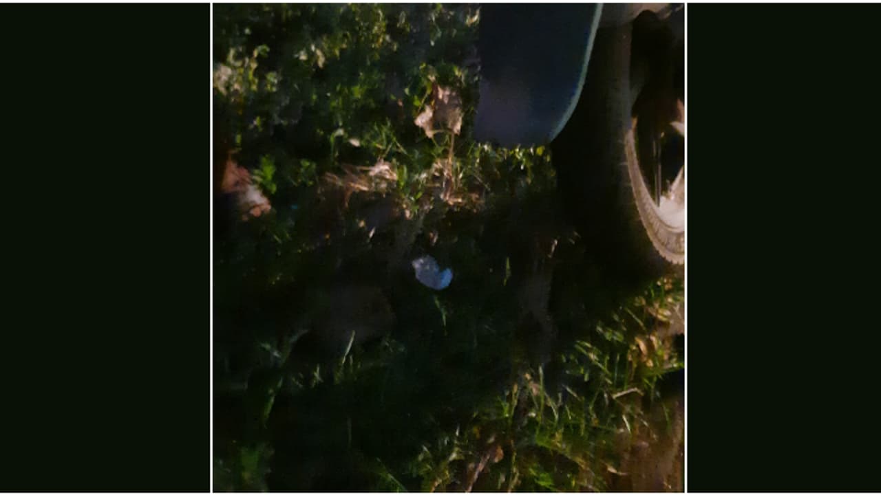 മംഗലം ഡാമിന് സമീപം ബൈക്ക് പാലത്തിലിടിച്ചു; 51കാരൻ മരിച്ചു, ബൈക്കോടിച്ചിരുന്നയാൾക്ക് ഗുരുതര പരിക്ക് മംഗലം ഡാമിന് സമീപം ബൈക്ക് പാലത്തിലിടിച്ചു; 51കാരൻ മരിച്ചു, ബൈക്കോടിച്ചിരുന്നയാൾക്ക് ഗുരുതര പരിക്ക്