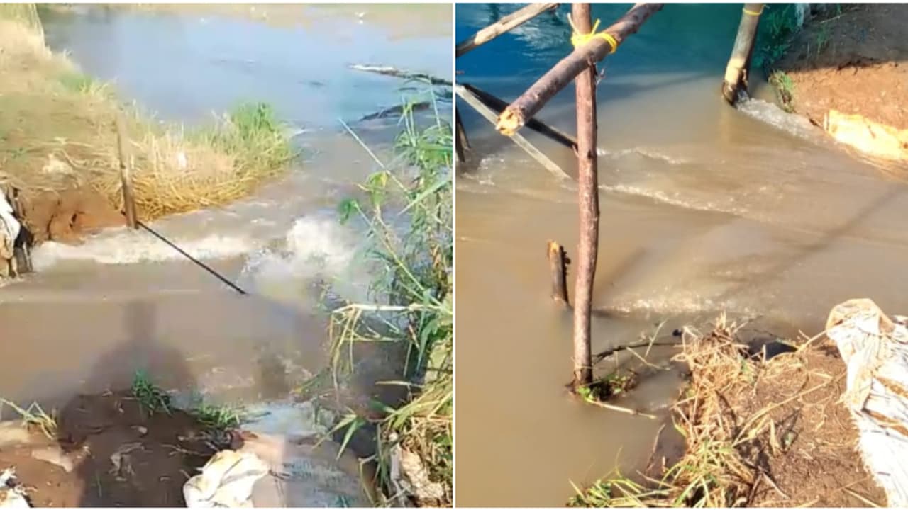 അച്ചൻകോവിലാറ്റിൽ ജലനിരപ്പുയർന്നു, ചെന്നിത്തല പാടശേഖരങ്ങളിൽ മടവീഴ്ച; വിതച്ചത് നശിച്ചു, കർഷകർക്ക് വൻ നഷ്ടം അച്ചൻകോവിലാറ്റിൽ ജലനിരപ്പുയർന്നു, ചെന്നിത്തല പാടശേഖരങ്ങളിൽ മടവീഴ്ച; വിതച്ചത് നശിച്ചു, കർഷകർക്ക് വൻ നഷ്ടം