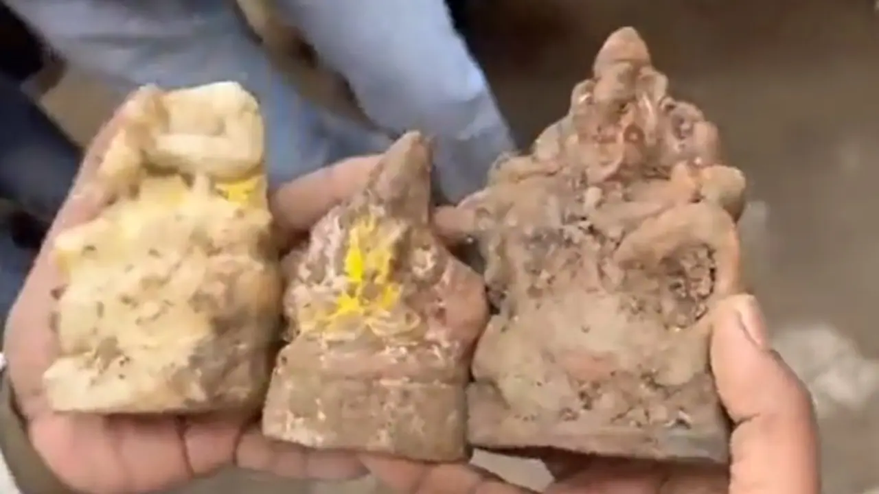 Viral video: Three damaged idols found inside well of Sambhal temple days after reopening (WATCH) Viral video: Three damaged idols found inside well of Sambhal temple days after reopening (WATCH)