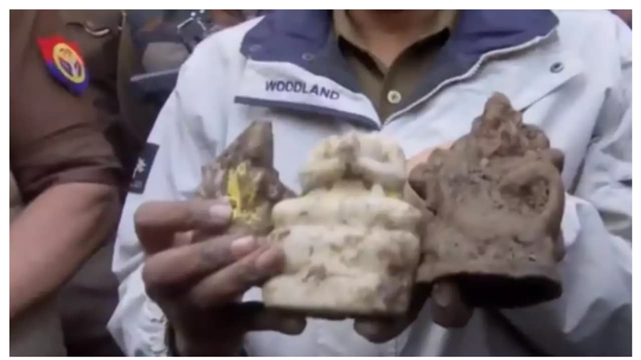 സംഭലിലെ ക്ഷേത്രക്കിണറ്റിൽ നിന്നും 3 വി​ഗ്രഹങ്ങൾ കണ്ടെത്തി, കാർബൺ ഡേറ്റിങ് ആവശ്യപ്പെട്ട് എഎസ്ഐക്ക് കത്ത്