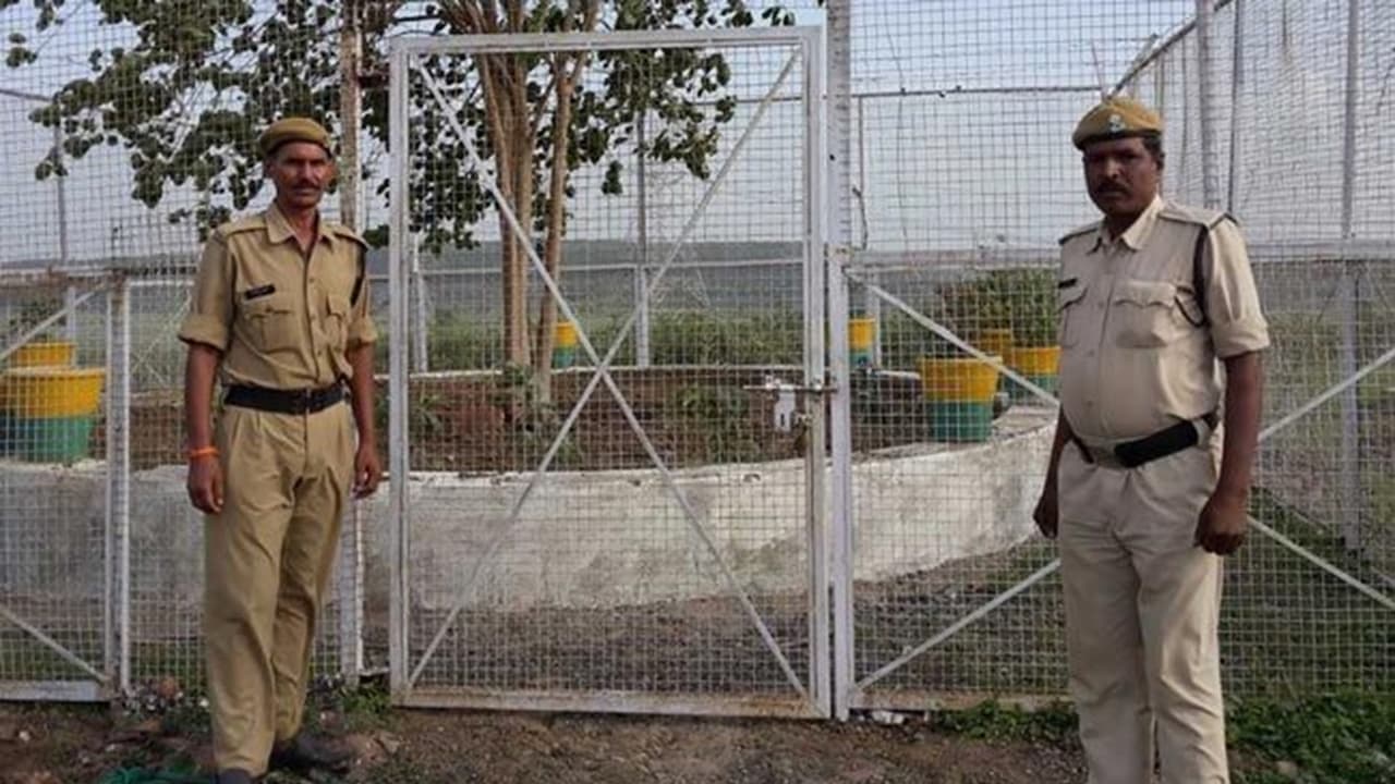 ஒரு விஐபி மரத்தை பராமரிக்க ஆண்டுக்கு ரூ 12 லட்சம் செலவு செய்யும் அரசு! ஒரு விஐபி மரத்தை பராமரிக்க ஆண்டுக்கு ரூ 12 லட்சம் செலவு செய்யும் அரசு!