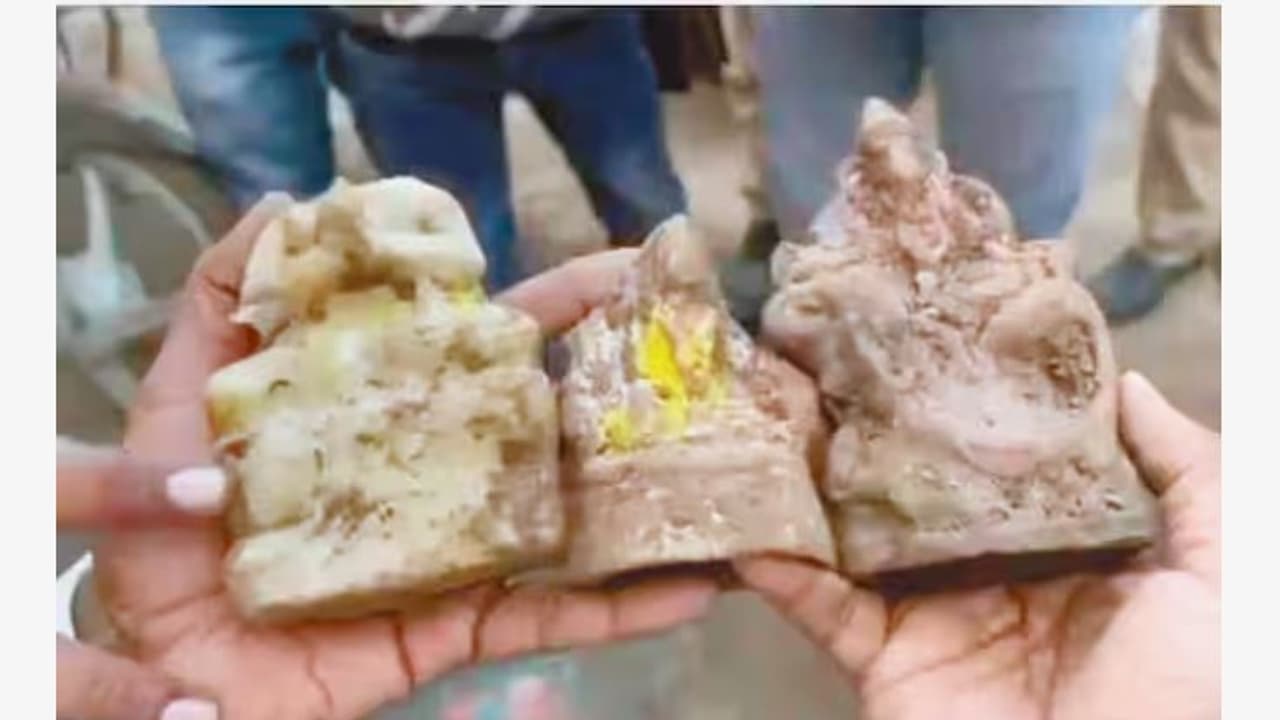 ಸಂಭಲ್ ದೇವಾಲಯದ ಬಾವಿಯಲ್ಲಿ ಹಾನಿಗೊಳಗಾದ ವಿಗ್ರಹಗಳು ಪತ್ತೆ ಸಂಭಲ್ ದೇವಾಲಯದ ಬಾವಿಯಲ್ಲಿ ಹಾನಿಗೊಳಗಾದ ವಿಗ್ರಹಗಳು ಪತ್ತೆ