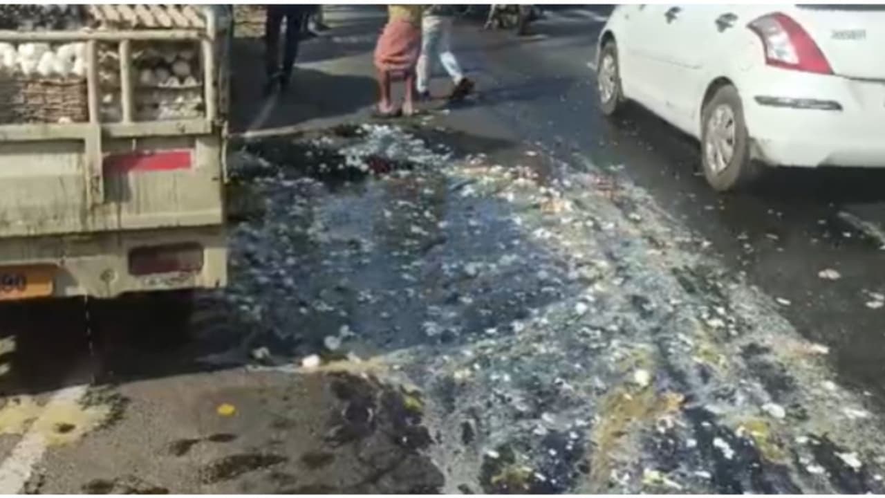 വീഡിയോ, ഒറ്റയടിക്ക് നടുറോഡിൽ പൊട്ടി ഒഴുകിയത് ഇരുപതിനായിരം മുട്ടകൾ! ആലുവയിൽ ഗതാഗത സ്തംഭനത്തിന് കാരണമായി അപകടം