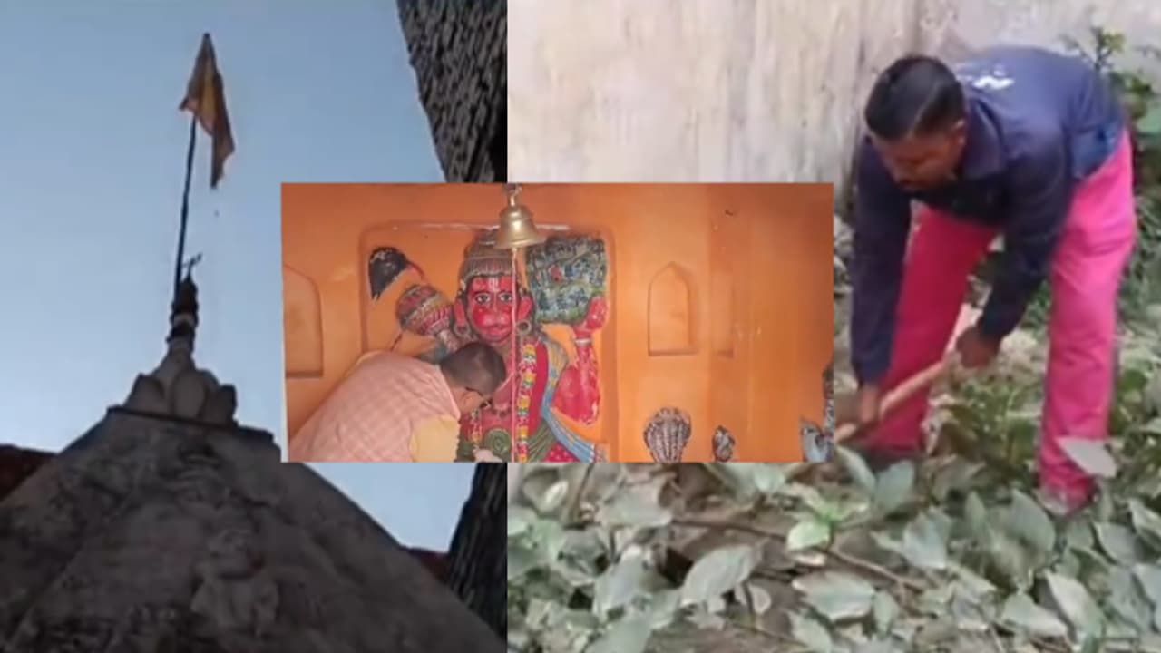 Uttar Pradesh: Muslim residents demolish own homes near 'ancient' temple's land in Sambhal; Read