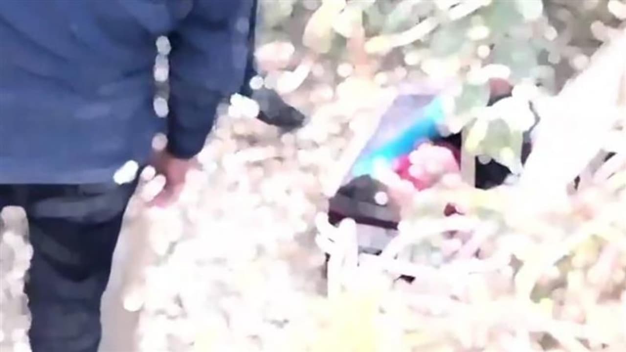 Ghaziabad HORROR! Body of 7 year old stuffed inside suitcase, dumped near canal; probe launched (WATCH) Ghaziabad HORROR! Body of 7 year old stuffed inside suitcase, dumped near canal; probe launched (WATCH)