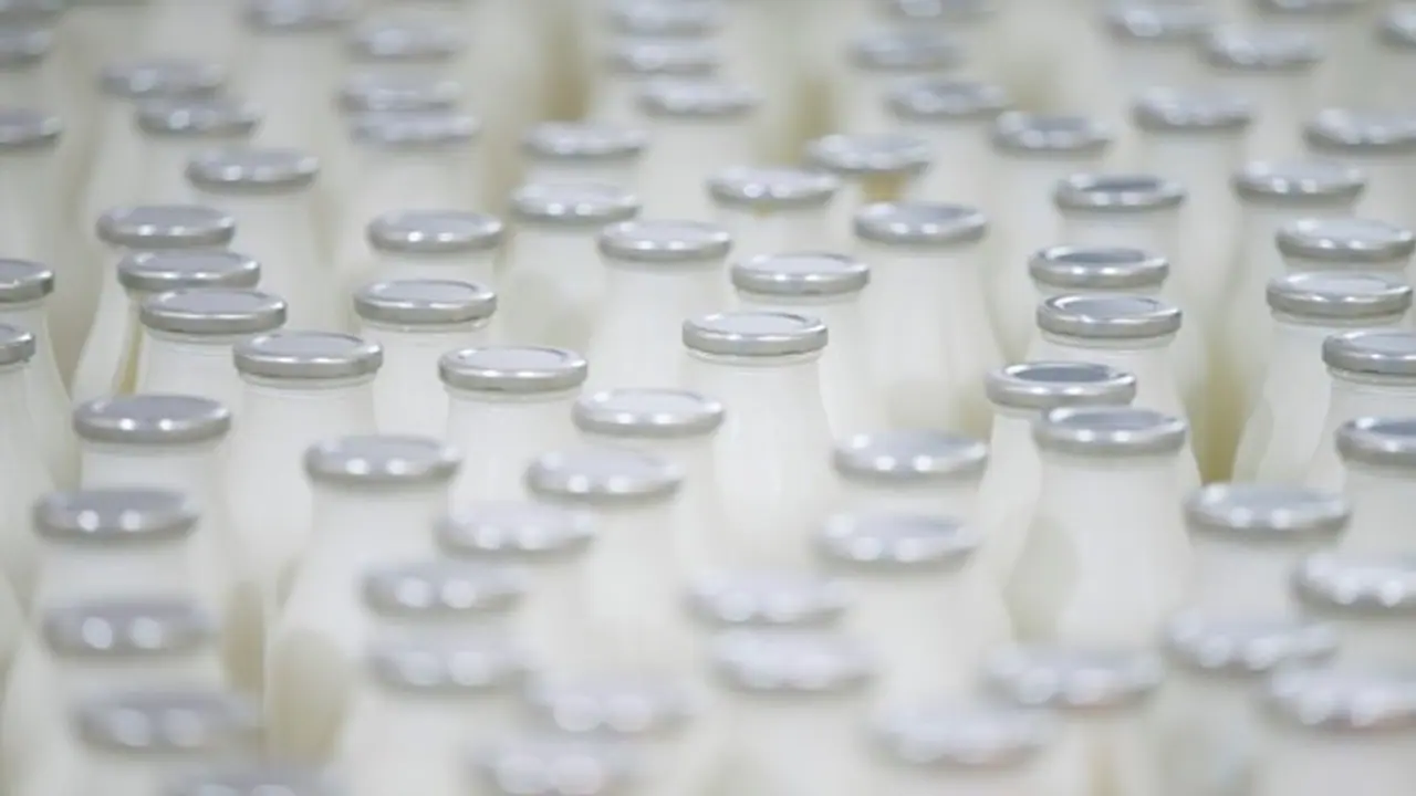 Balanced diets, breed management can cut emissions in India's dairy sector: Report