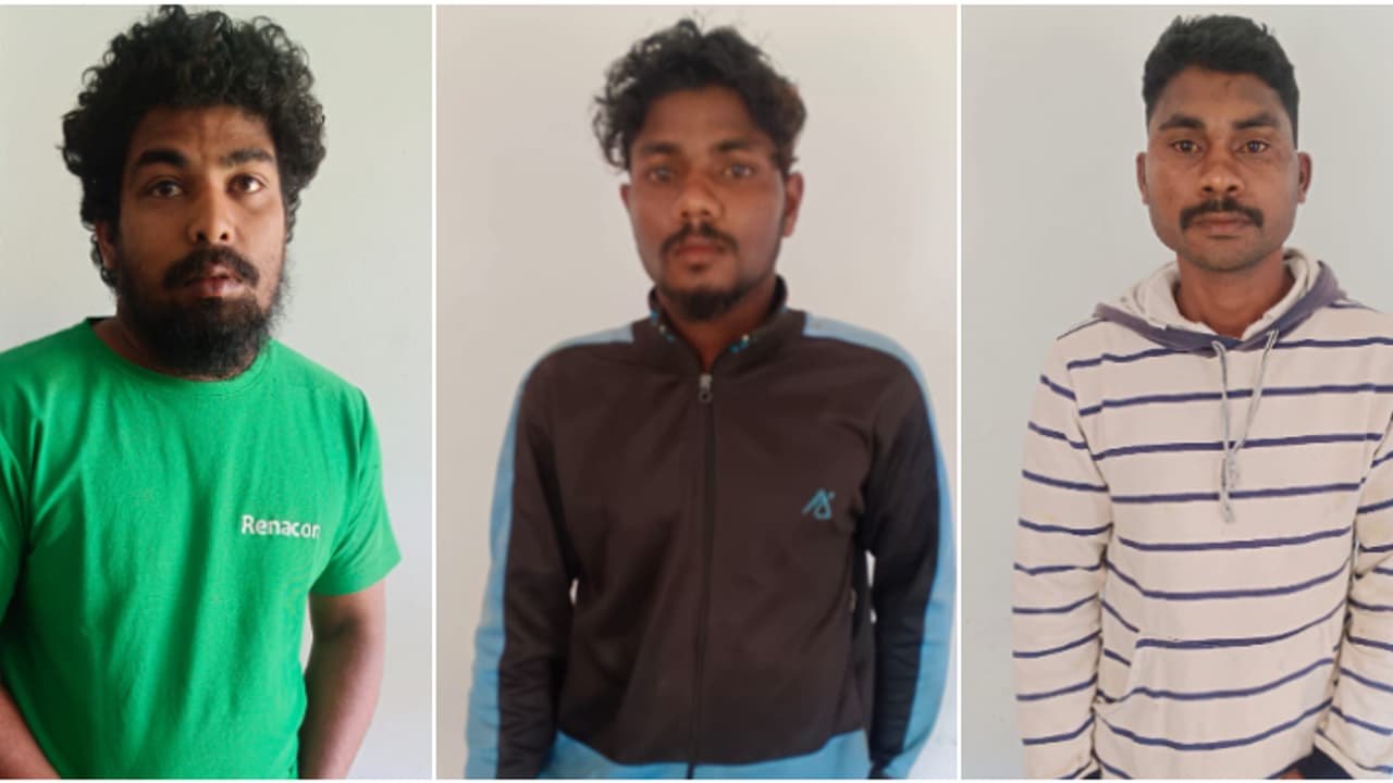 കൊണ്ടുപോയത് ഒരു ക്വിന്‍റൽ ഉണ്ടക്കാപ്പി, പനമരത്ത് തോട്ടത്തില്‍ കടന്നുകയറി മോഷണം നടത്തിയ 3 യുവാക്കൾ പിടിയിൽ 