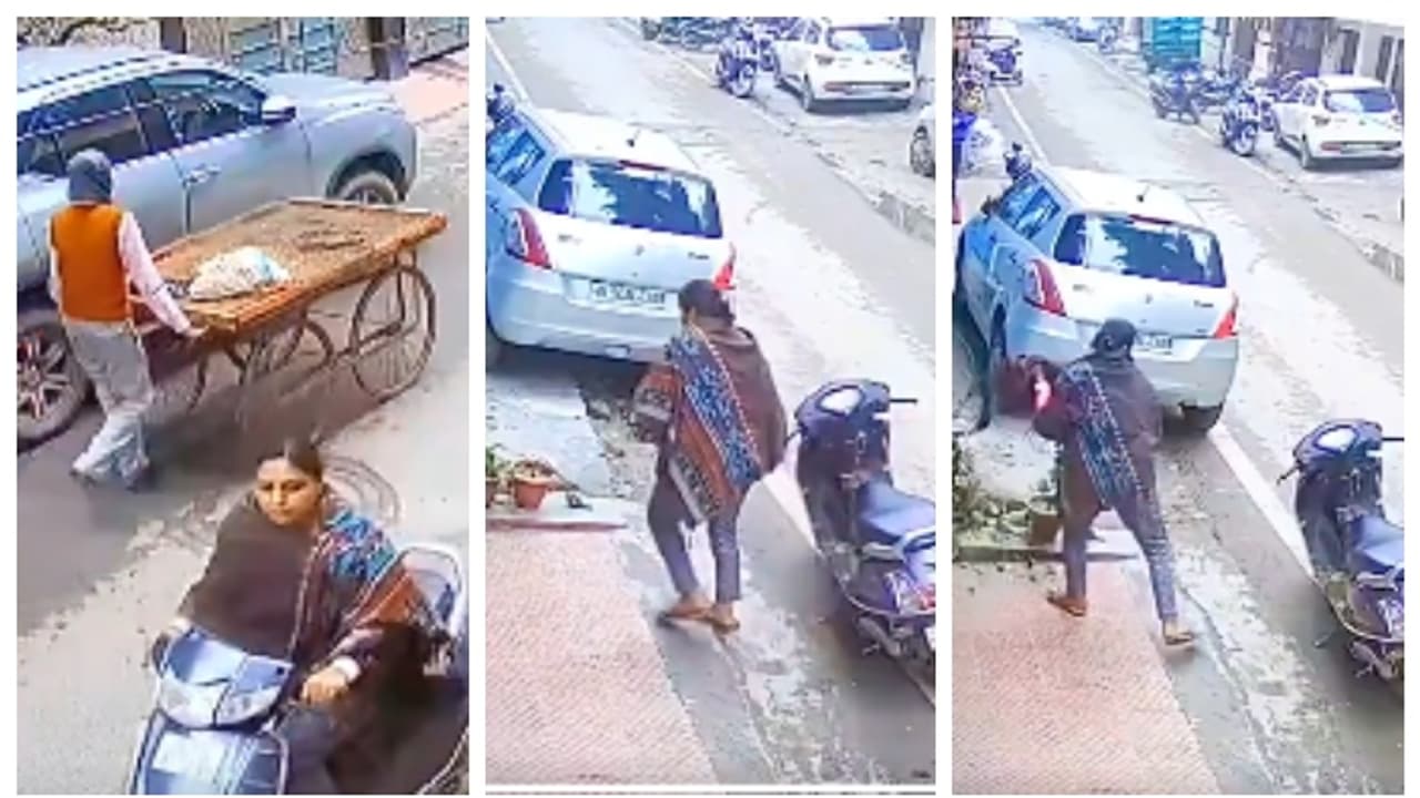 സ്കൂട്ടറിലെത്തി ചെടിച്ചട്ടി മോഷ്ടിക്കുന്ന യുവതിയെ രൂക്ഷമായി വിമർശിച്ച് സോഷ്യൽ മീഡിയ 