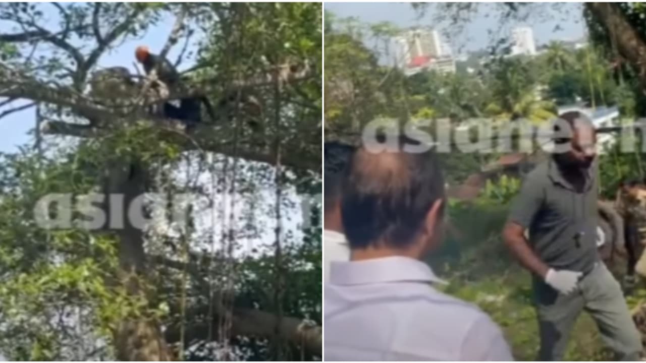 കന്റോൺമെന്റ് ഹൗസിൽ മരംമുറിക്കാൻ വന്നയാളുടെ വിരൽ മരങ്ങള്ക്കിടയില് കുരുങ്ങി;70 അടി ഉയരത്തിൽ നിന്ന് രക്ഷിച്ചു കന്റോൺമെന്റ് ഹൗസിൽ മരംമുറിക്കാൻ വന്നയാളുടെ വിരൽ മരങ്ങള്ക്കിടയില് കുരുങ്ങി;70 അടി ഉയരത്തിൽ നിന്ന് രക്ഷിച്ചു