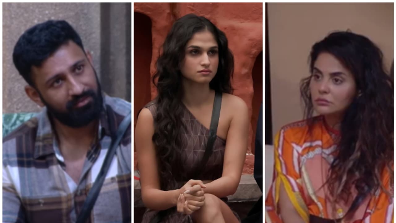 Bigg Boss 18: Is the 'convenience wala group' falling apart? Kashish, Edin question Sara Arfeen Khan [WATCH]