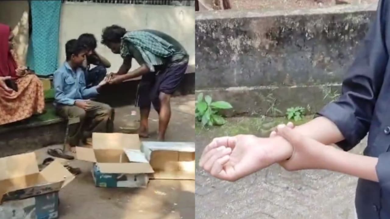 തേനീച്ചകളുടെ കൂട്ട ആക്രമണം; തിരൂരങ്ങാടിയിൽ വിദ്യാർഥികളടക്കം 30 പേർക്ക് കുത്തേറ്റു, പലരും ഓടിരക്ഷപ്പെട്ടു തേനീച്ചകളുടെ കൂട്ട ആക്രമണം; തിരൂരങ്ങാടിയിൽ വിദ്യാർഥികളടക്കം 30 പേർക്ക് കുത്തേറ്റു, പലരും ഓടിരക്ഷപ്പെട്ടു