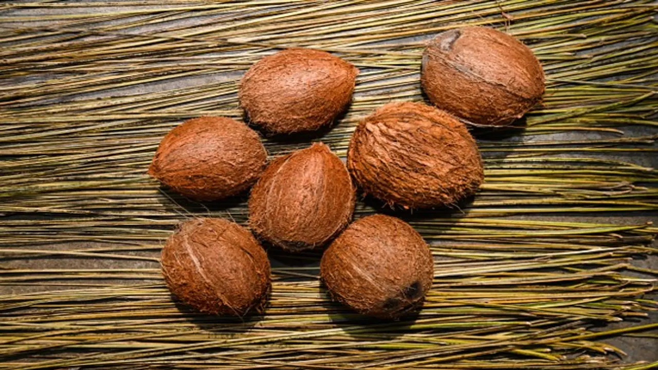 Is coconut oil edible or hair oil? Supreme Court answers, settles a 20 year old debate Is coconut oil edible or hair oil? Supreme Court answers, settles a 20 year old debate